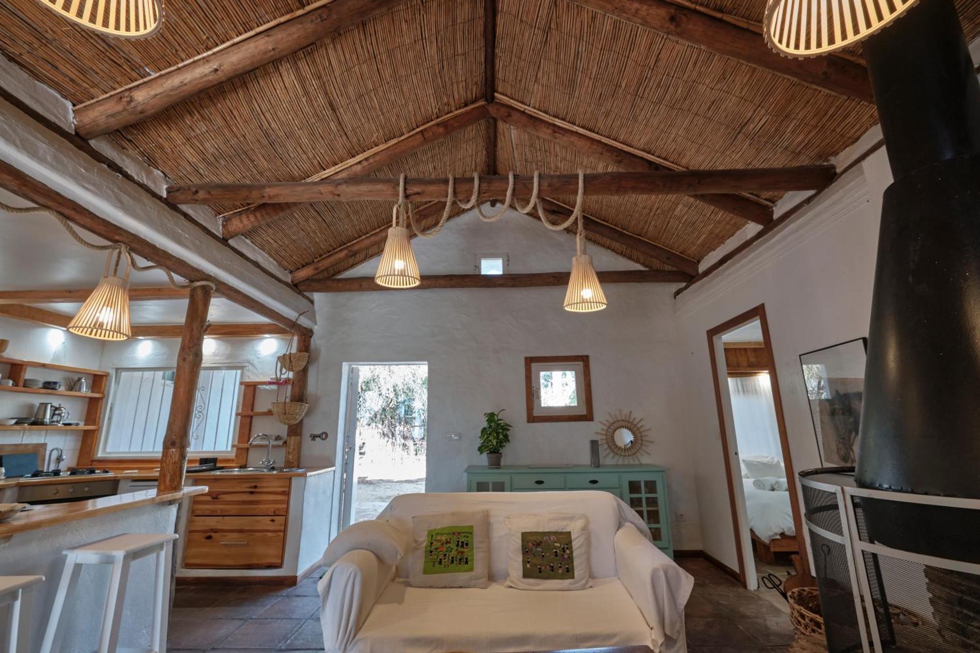 Bolonia Campus Apartment